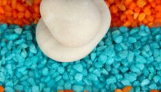 Top 7 thermoplastic polyurethane companies offering flexibility and durability